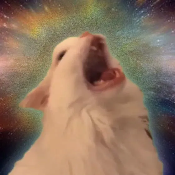 Sky-cat✨